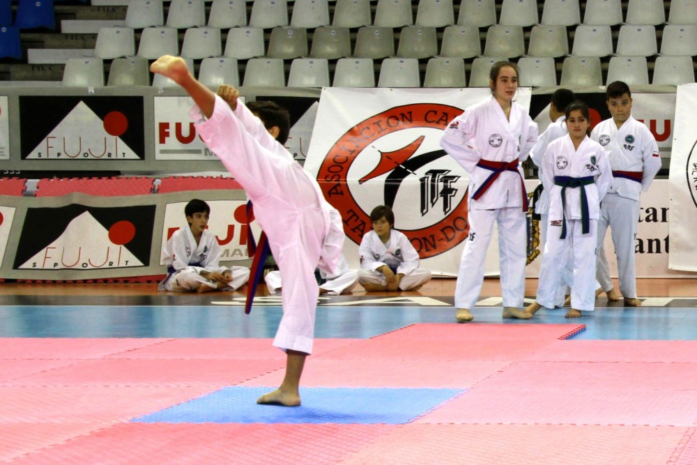 Taekwondo Dic 2016 (195).jpg